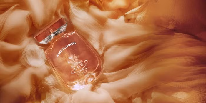 mùi hương của Creed