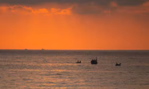 Cặp đôi Hà Lan bất ngờ trước cảnh đẹp và dịch vụ ở Việt Nam ảnh 3