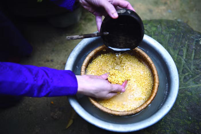 Bắt mắt bánh trái cây đậu xanh - Bánh “quý tộc” - 2