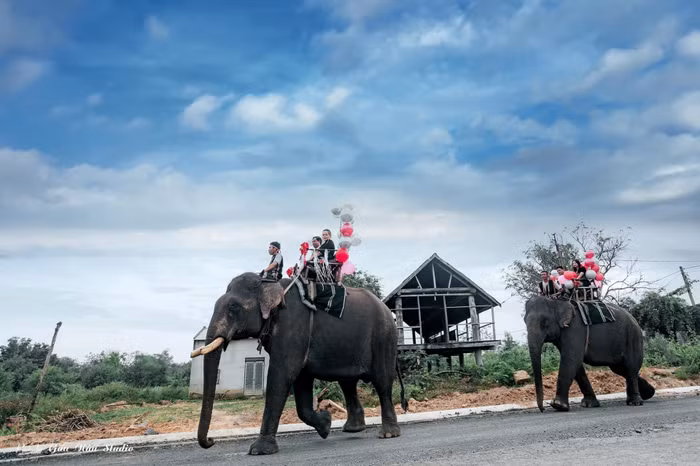 Hội Voi ở Buôn Đôn.
