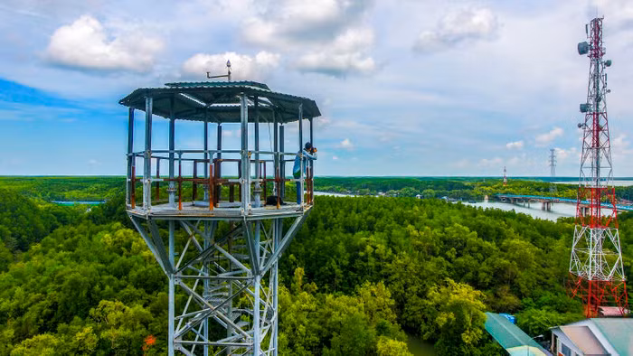 Khu Dự trữ sinh quyển rừng ngập mặn Cần Giờ - “Lá phổi xanh” của TP.HCM - 13