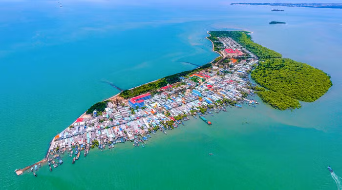 Khu Dự trữ sinh quyển rừng ngập mặn Cần Giờ - “Lá phổi xanh” của TP.HCM - 7