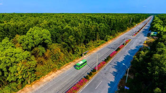 Khu Dự trữ sinh quyển rừng ngập mặn Cần Giờ - “Lá phổi xanh” của TP.HCM - 8