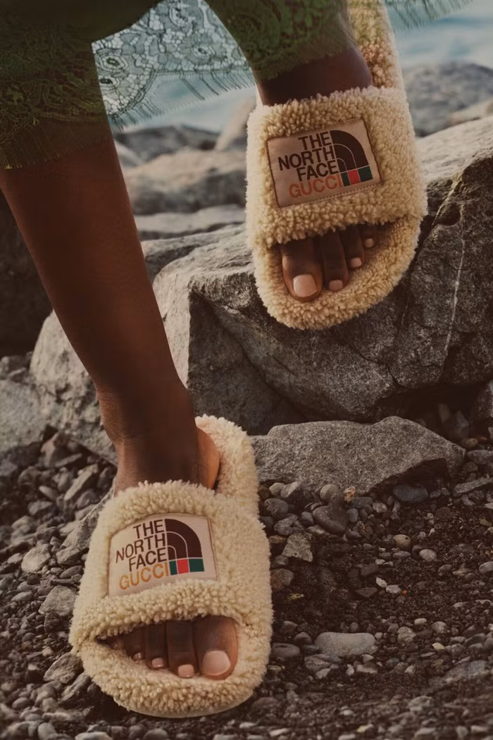 Gucci x The North Face