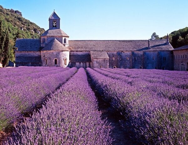 9 ngôi làng cổ tích dành cho những ai muốn trốn phố thị xô bồ - 5