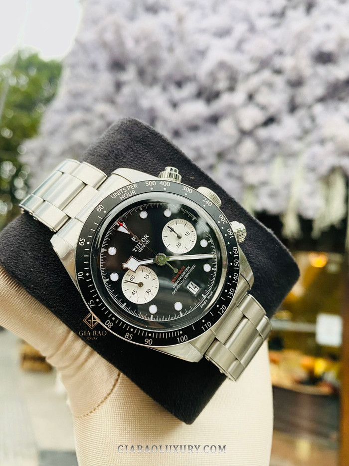z3103348090047-aeb05d2bf8f241e77e4b3b1c31159ca6.jpg?v=1641981083030