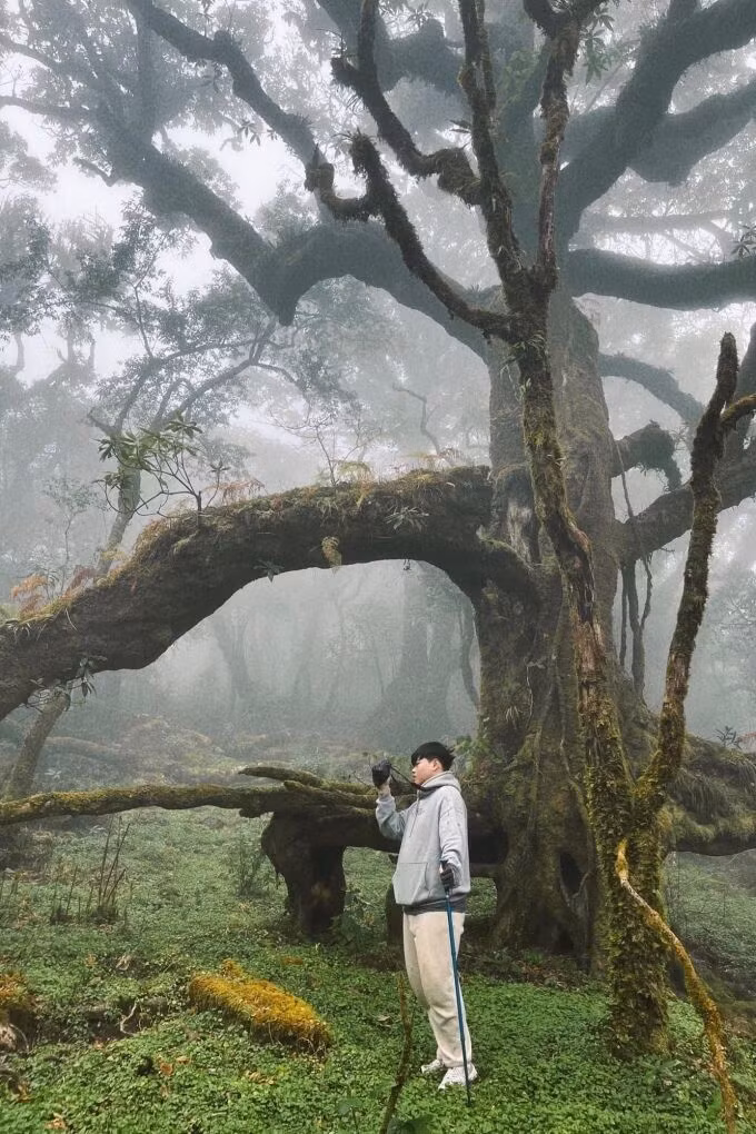 a5-1-JPG-6719-1675770024.jpg?w=680&h=0&q=100&dpr=1&fit=crop&s=wsH9Q7nuxaiTcHF3E8dh3g