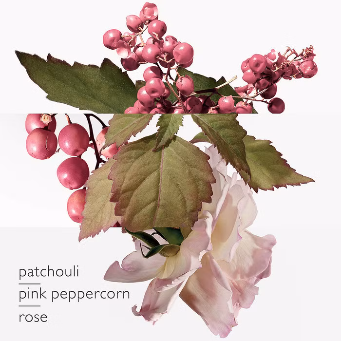 Twilly D'Hermès Eau Poivrée hương thơm đương đại ảnh 2