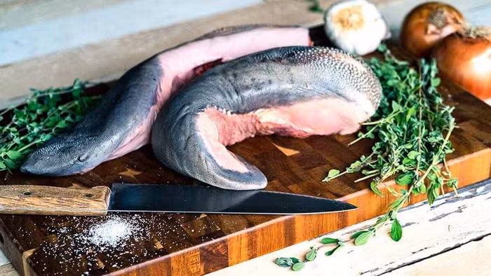 Đến Mexico ăn những món độc lạ mà ngon mê ly - 6