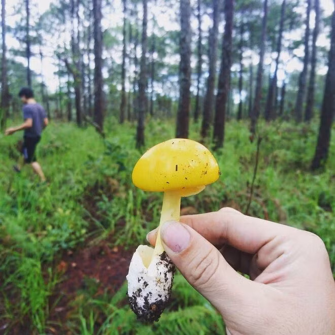 Kỳ lạ đặc sản