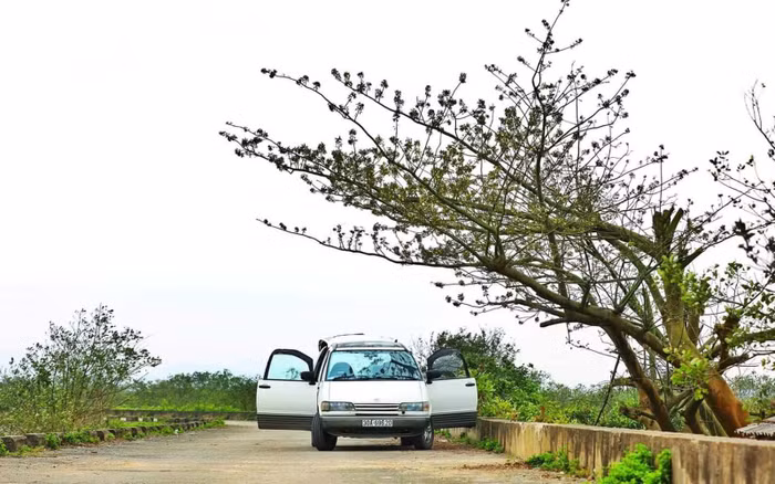 Toyota Previa
