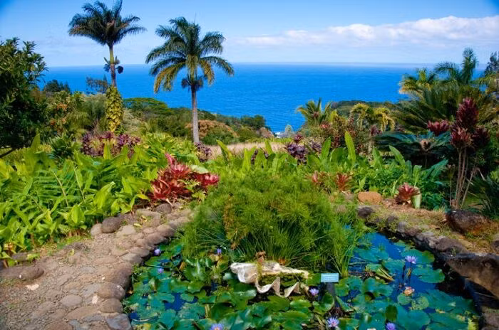 maui