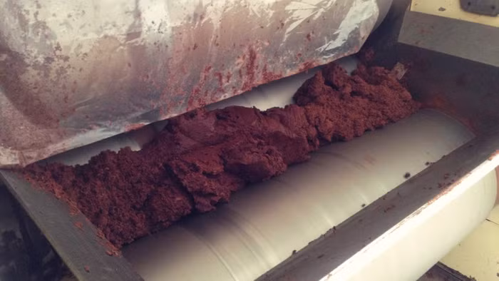 To’ak Chocolate - Loại socola đắt đỏ nhất hành tinh-7