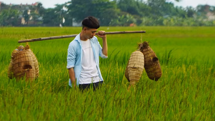 Tô Văn Lộc