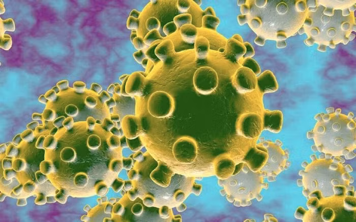 Có thể thử nghiệm vaccine ngừa chủng corona mới trong 3 tháng tới