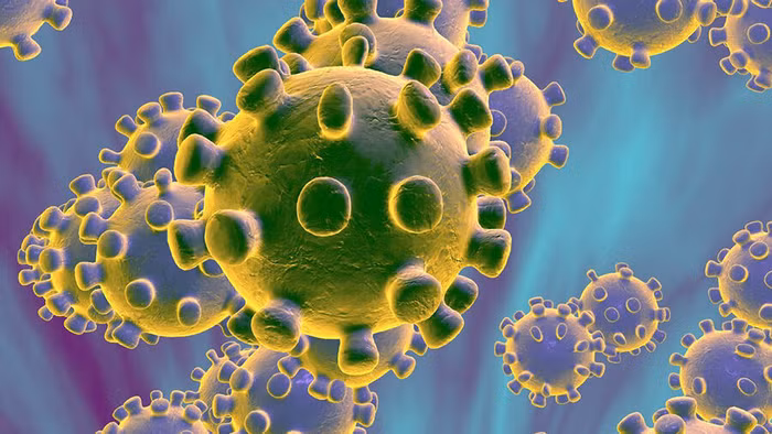 Virus corona được đặt tên chính thức là Covid-19