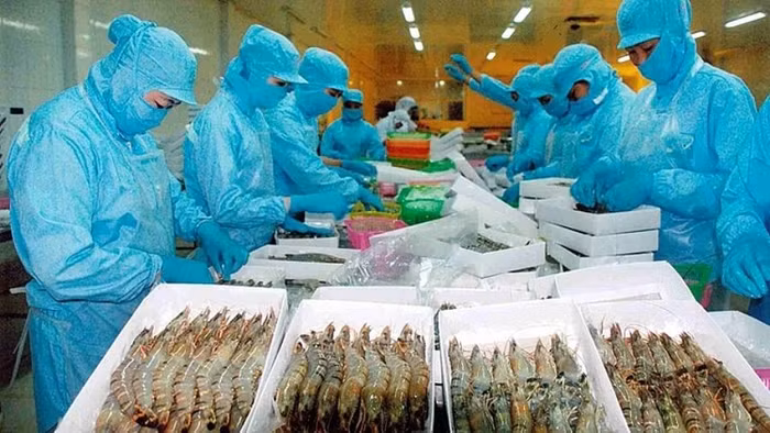 Xuất khẩu thủy sản sang thị trường Trung Quốc có tín hiệu tích cực