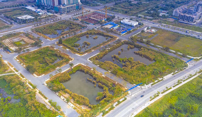 Cục Thuế TP.HCM không chấp thuận với việc hai đơn vị trúng đấu giá đất Thủ Thiêm xin nộp trước 100 tỷ đồng