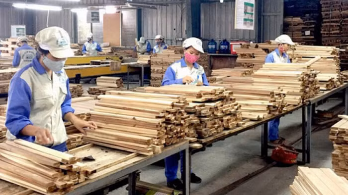 Vướng mắc xác minh nguồn gốc gỗ để hoàn thuế