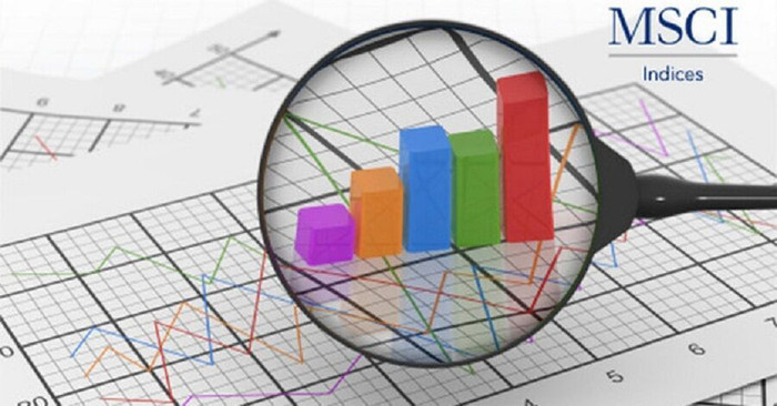 TCH gia nhập bộ chỉ số MSCI Frontier Markets Small Cap Indexes nhưng DRC và ITA phải “chia tay”