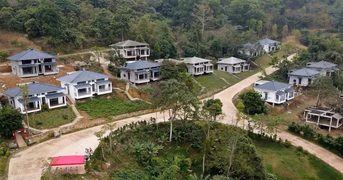 khu biệt thự