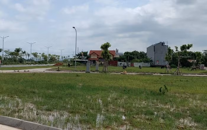 Một số phiên đấu giá gần đây ở Hà Nội có sự bất thường khi giá đấu tăng vọt