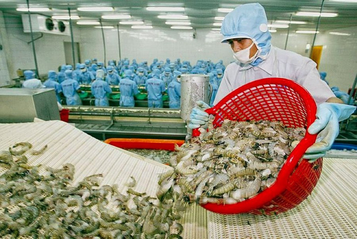Nhật Bản kiểm soát IUU với thủy sản Việt Nam ảnh 1 xuất khẩu thuỷ sản sang nhật bị kiểm soát IUU