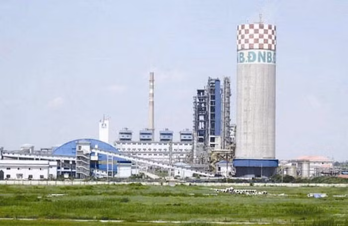 Giải cứu Đạm Ninh Bình: có được không?