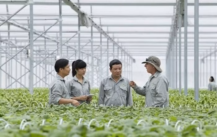 Vingroup liên kết với 1000 Hợp tác xã cung ứng nông sản sạch