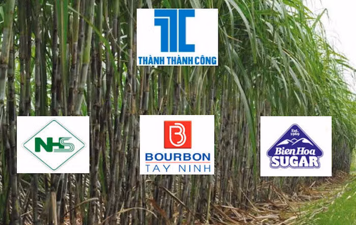 SBT – BHS chạy đua thâu tóm nhà máy đường HAG