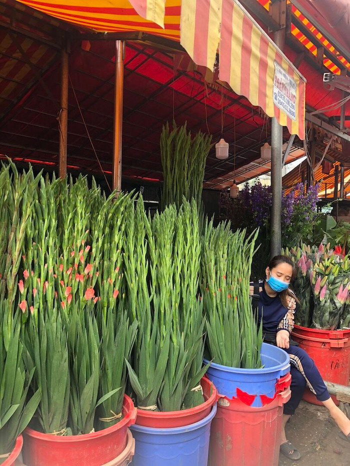 Chợ hoa những ngày giáp Tết ảnh 4