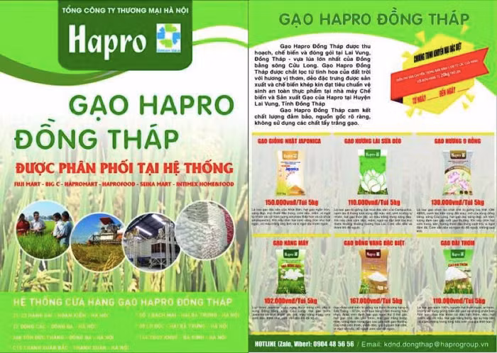 Nhiều hợp đồng xuất khẩu gạo của Hapro có nguy cơ bị phạt vì lệnh cấm