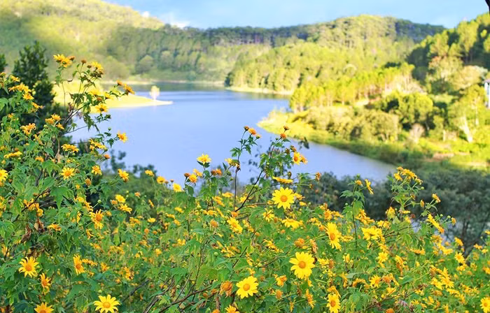 Không gian hoa tại Đà Lạt thu hút nhiều du khách đến tham quan. (Ảnh: Mai Anh/Vietnam+)