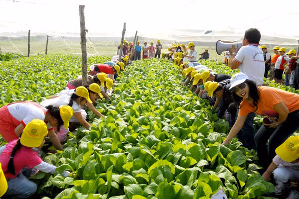 Vốn trung và dài hạn cho phát triển chăn nuôi đang thiếu và yếu ảnh 1