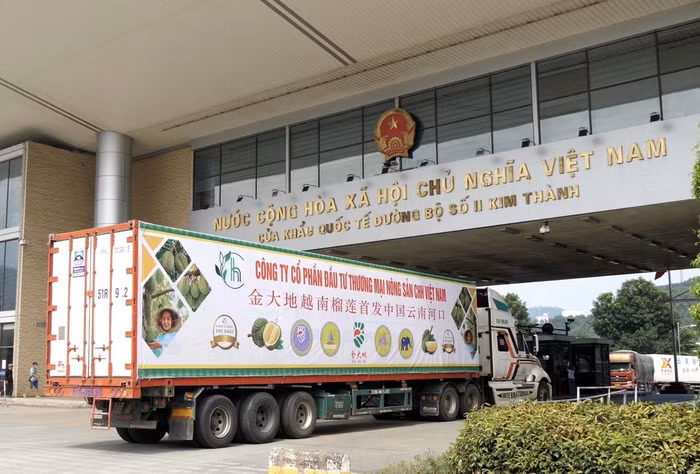 Xuất khẩu nông sản: Khi rủi ro “to” hơn cơ hội
