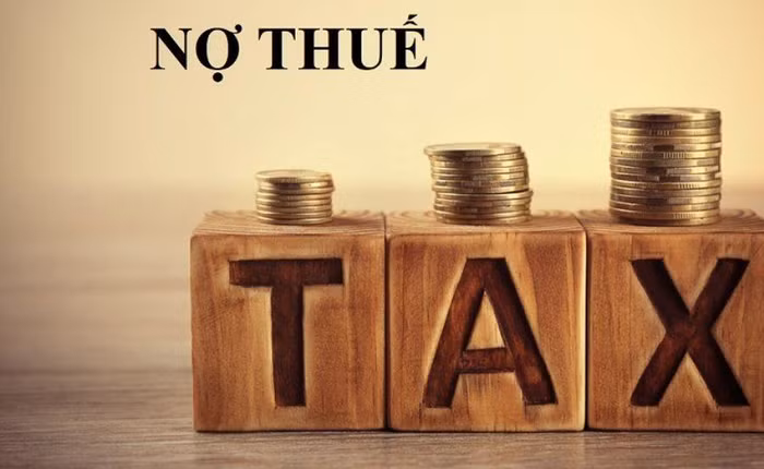 Hải quan TP. Hồ Chí Minh yêu cầu phong tỏa tài khoản của Giám đốc Công ty Sơn Hải Huệ