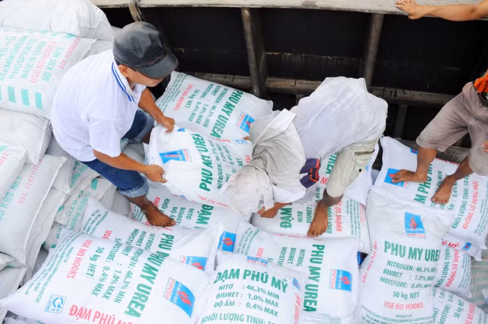 Phân bón gia nhập "câu lạc bộ xuất khẩu tỷ USD"