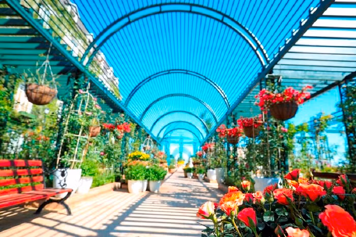 Chơi đã đời, ăn thỏa thích chỉ với một tấm vé, Bà Nà Hills ngay chứ còn gì?