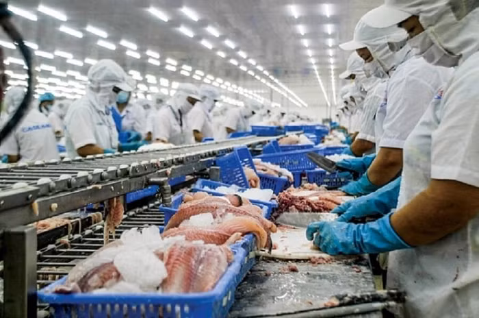 Việt Nam xuất khẩu gần 3,8 tỷ USD sang EU trong tháng 8