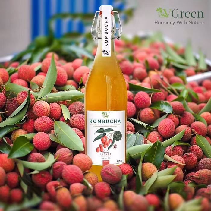 Special Lychee Kombucha là sự kết hợp độc đáo giữa các đặc sản vùng miền gồm vải thiều Lục Ngạn &amp; trà Thái Nguyên