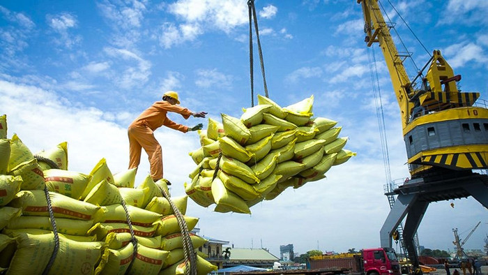 Xuất khẩu gạo tăng kỉ lục trong 7 tháng đầu năm