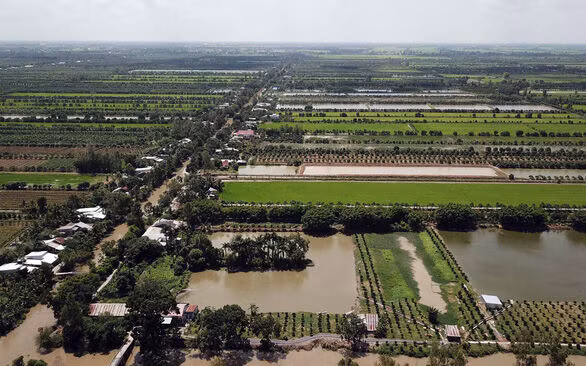 Agribank rao bán khoản nợ gần 350 tỷ đồng của Nông trường Sông Hậu