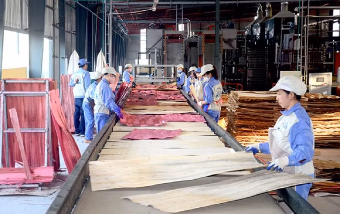 Hà Nội: Kim ngạch xuất khẩu tháng 5 tăng 10,1% so tháng trước