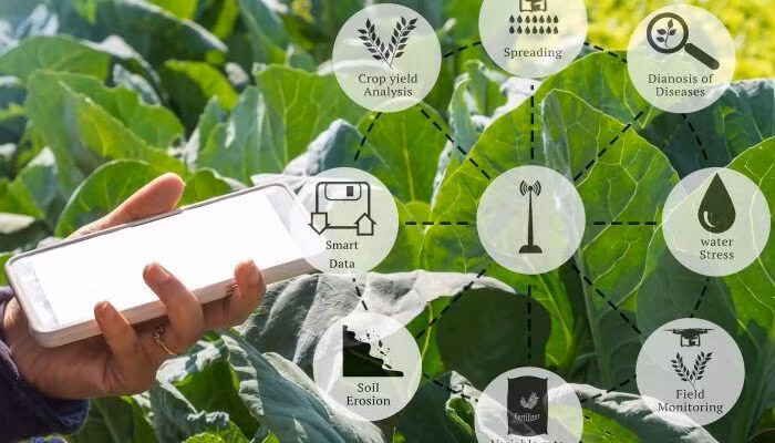 Triển vọng của AI trong tương lai phát triển nông nghiệp ảnh 2 nông nghiệp