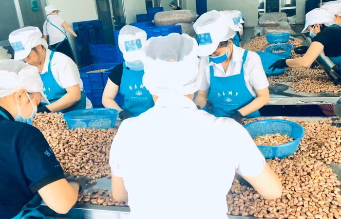 42 sản phẩm OCOP 5 sao