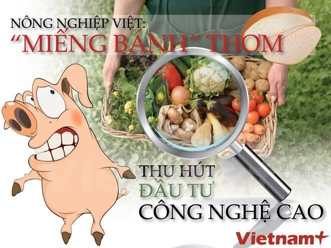 Làn sóng “đại gia” ồ ạt đầu tư vào nông nghiệp?