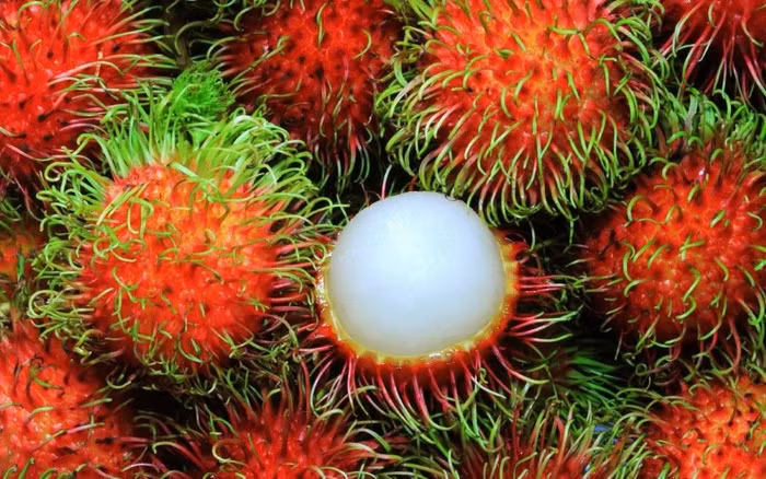 Các cảnh báo của EU tập trung vào vi phạm mức dư lượng thuốc trừ sâu vượt quá quy định