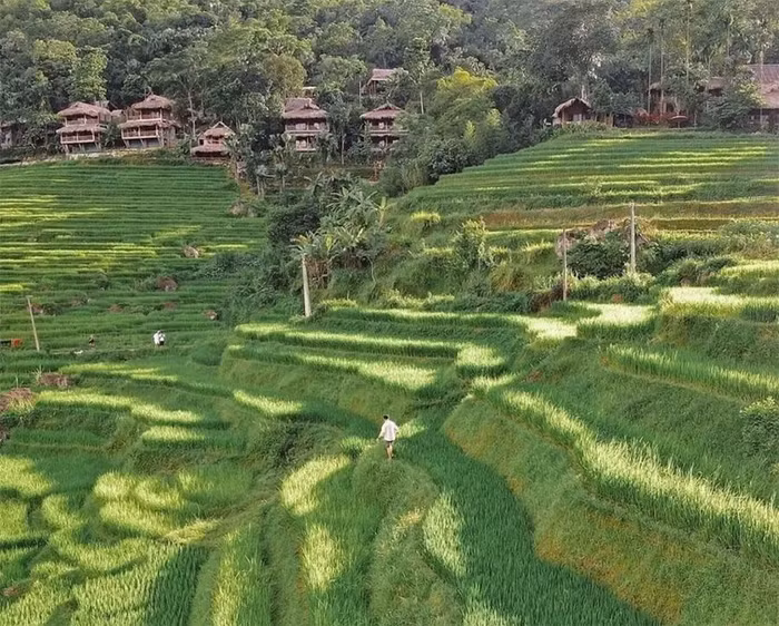 Cảnh đẹp Việt Nam