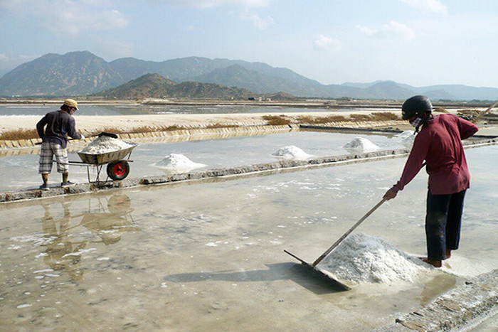 Tin vui cho diêm dân Bình Thuận