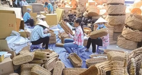 Thành lập Ban chỉ đạo tổng kết 20 năm đổi mới, phát triển kinh tế tập thể